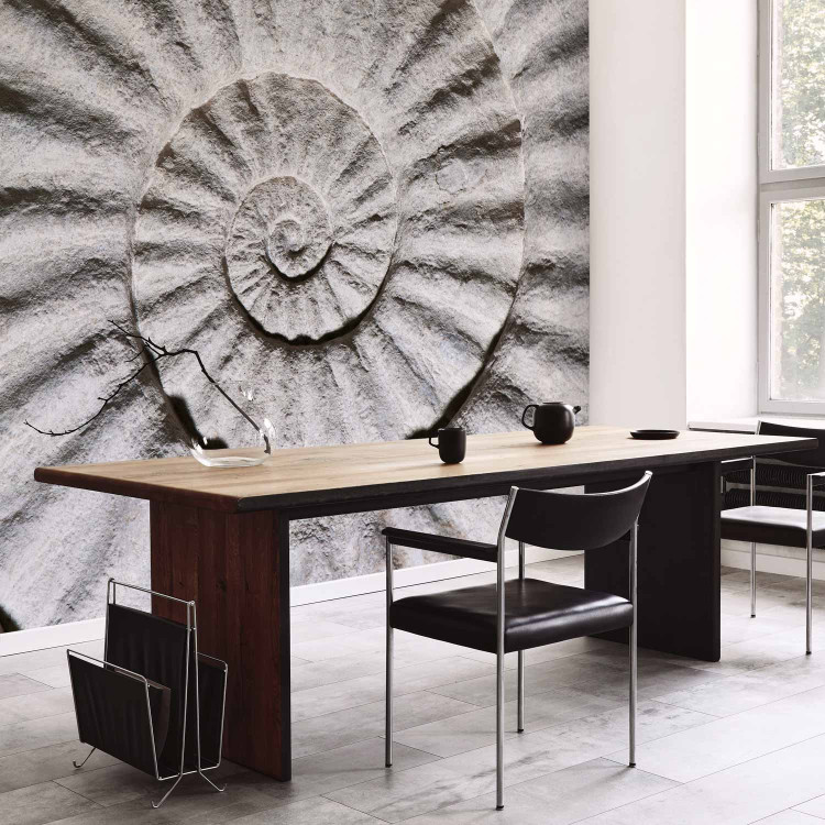 Photo Wallpaper Stone Ammonite - Abstract Design in Grayish-white Seashell Pattern 61004 additionalImage 7