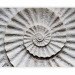 Photo Wallpaper Stone Ammonite - Abstract Design in Grayish-white Seashell Pattern 61004 additionalThumb 1