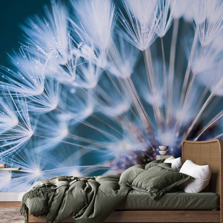 Wall Mural Vegetal motif - close-up flower of a dandelion with droplets of morning dew 90404 additionalImage 2