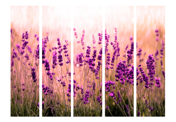 Room Divider Screen Lavender in the Rain II - romantic lavender flowers in a sunny meadow 95604 additionalImage 3