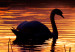 Canvas Swan Lake 98104 additionalThumb 5