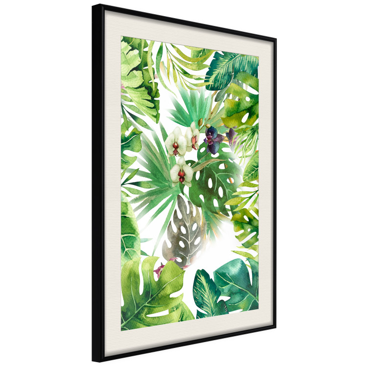 Poster Tropical Shade - botanical composition with leaves of tropical plants 114314 additionalImage 3