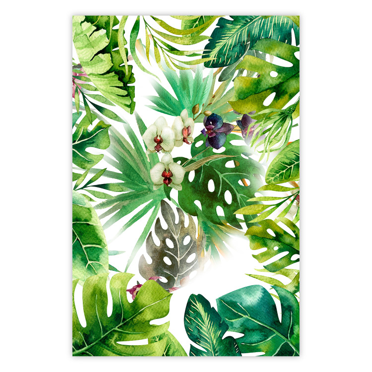 Poster Tropical Shade - botanical composition with leaves of tropical plants 114314