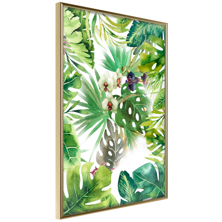Poster Tropical Shade - botanical composition with leaves of tropical plants 114314 additionalImage 14