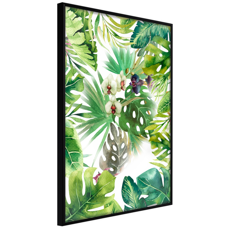 Poster Tropical Shade - botanical composition with leaves of tropical plants 114314 additionalImage 10