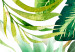 Poster Tropical Shade - botanical composition with leaves of tropical plants 114314 additionalThumb 8