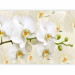 Photo Wallpaper Orchid branch - delicate composition with close-up on white flowers 114514 additionalThumb 5