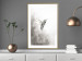 Wall Poster Ethnic Hummingbird - abstraction with a bird in shades of gray 116314 additionalThumb 15