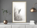 Wall Poster Ethnic Hummingbird - abstraction with a bird in shades of gray 116314 additionalThumb 18