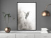 Wall Poster Ethnic Hummingbird - abstraction with a bird in shades of gray 116314 additionalThumb 3
