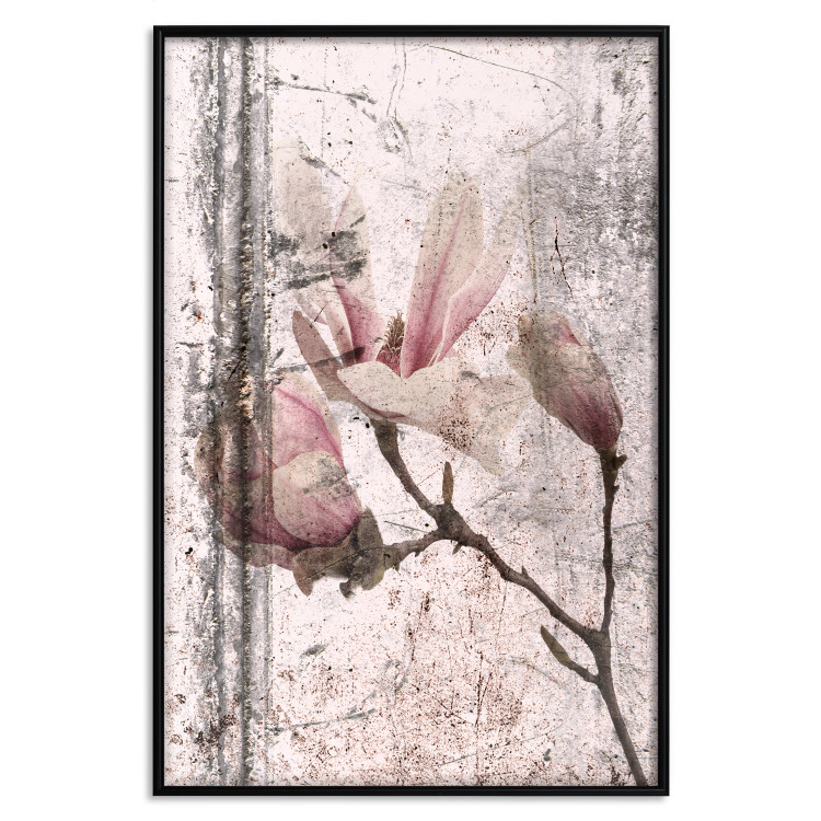 Wall Poster Exquisite Magnolia - plant composition with vintage-style flowers 118614 additionalImage 16
