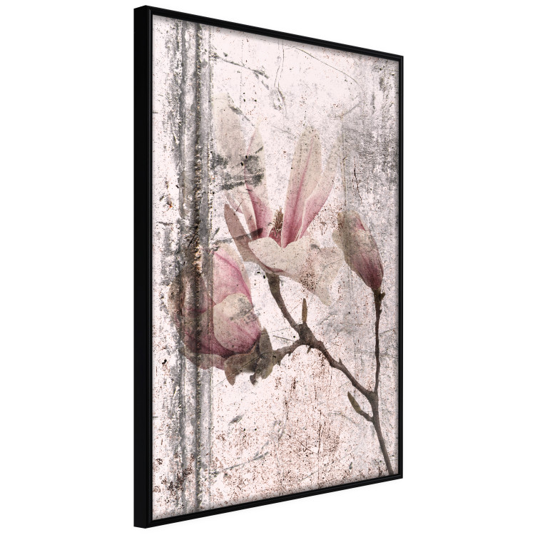 Wall Poster Exquisite Magnolia - plant composition with vintage-style flowers 118614 additionalImage 10