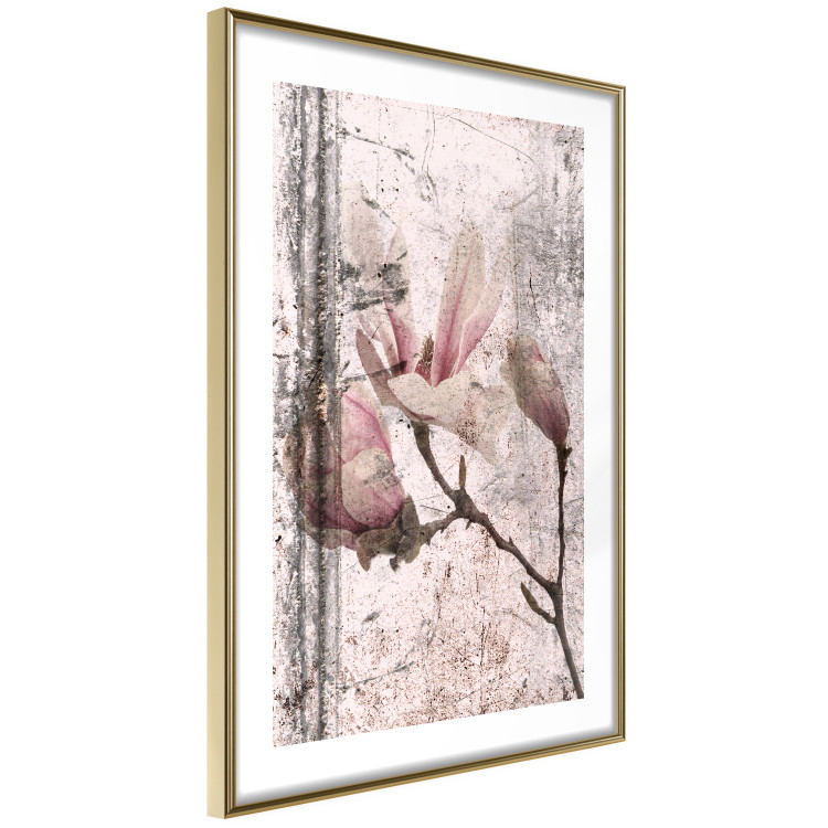 Wall Poster Exquisite Magnolia - plant composition with vintage-style flowers 118614 additionalImage 8