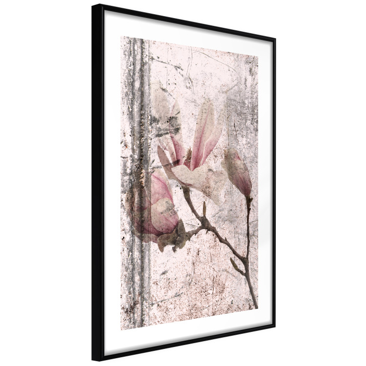 Wall Poster Exquisite Magnolia - plant composition with vintage-style flowers 118614 additionalImage 13