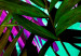 Wall Poster Colorful Rustle - abstract plant motif with colorful leaves 122314 additionalThumb 8
