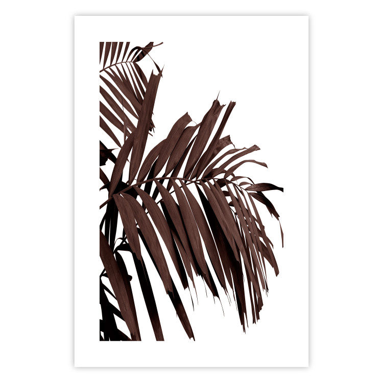 Wall Poster Sunbathed - tropical brown palm leaves on white background 123514 additionalImage 19