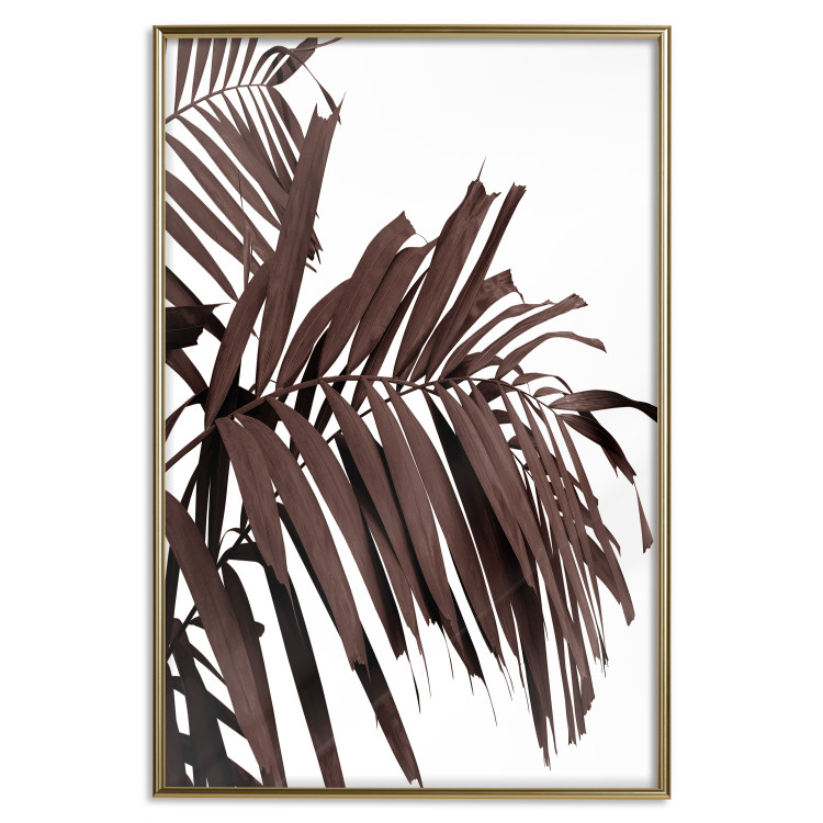 Wall Poster Sunbathed - tropical brown palm leaves on white background 123514 additionalImage 16