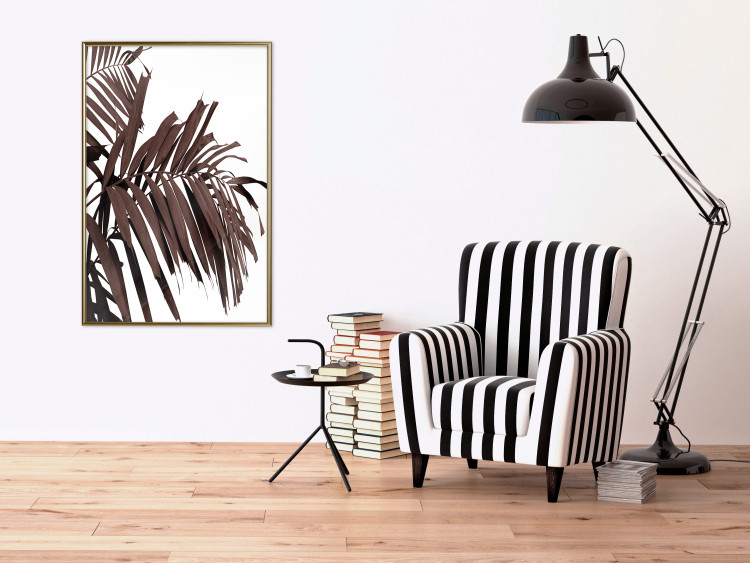 Wall Poster Sunbathed - tropical brown palm leaves on white background 123514 additionalImage 5