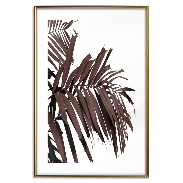 Wall Poster Sunbathed - tropical brown palm leaves on white background 123514 additionalImage 14