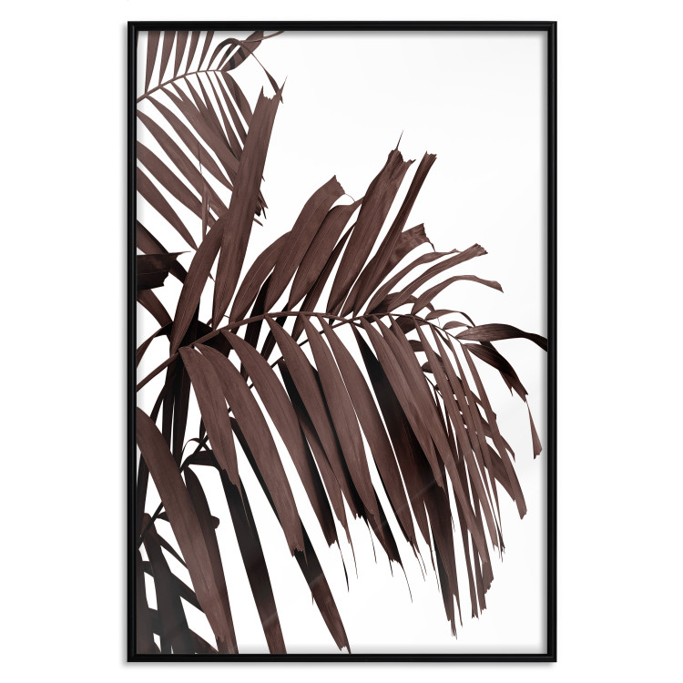 Wall Poster Sunbathed - tropical brown palm leaves on white background 123514 additionalImage 18