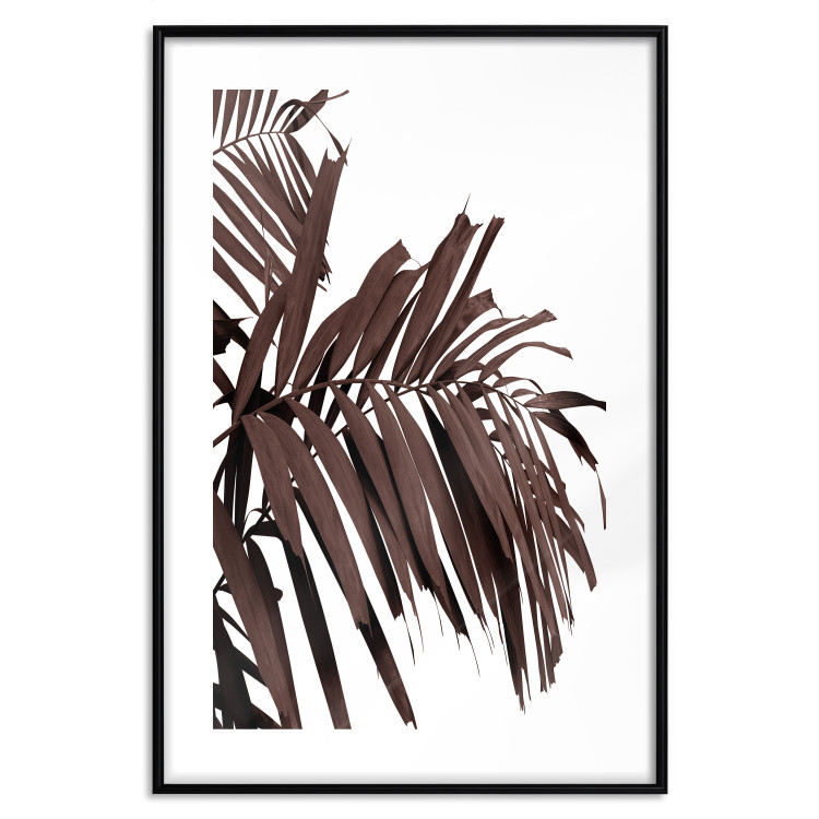 Wall Poster Sunbathed - tropical brown palm leaves on white background 123514 additionalImage 15