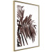 Wall Poster Sunbathed - tropical brown palm leaves on white background 123514 additionalThumb 6