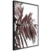 Wall Poster Sunbathed - tropical brown palm leaves on white background 123514 additionalThumb 10