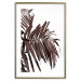 Wall Poster Sunbathed - tropical brown palm leaves on white background 123514 additionalThumb 14