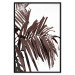 Wall Poster Sunbathed - tropical brown palm leaves on white background 123514 additionalThumb 18