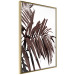 Wall Poster Sunbathed - tropical brown palm leaves on white background 123514 additionalThumb 12