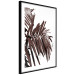 Wall Poster Sunbathed - tropical brown palm leaves on white background 123514 additionalThumb 11