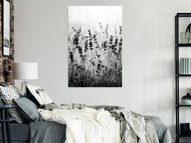 Wall Poster Lavender in the Rain - plant flowers in a meadow in black and white motif 123814 additionalImage 23
