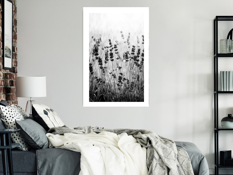 Wall Poster Lavender in the Rain - plant flowers in a meadow in black and white motif 123814 additionalImage 4