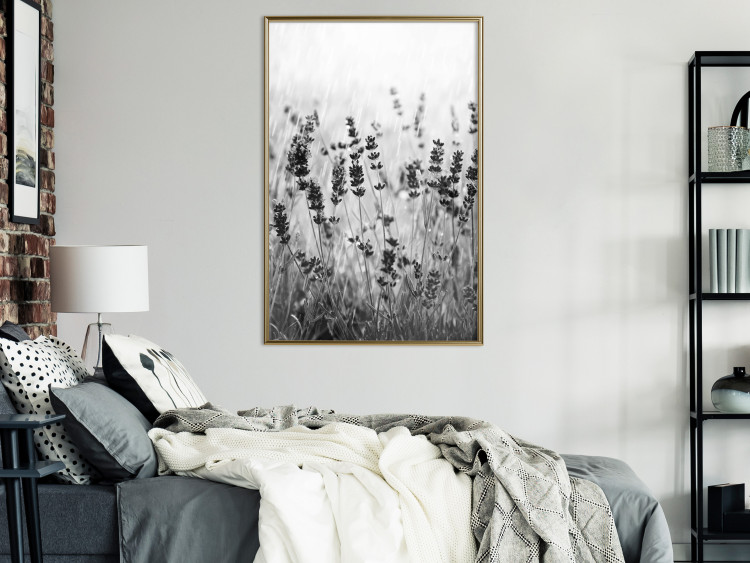 Wall Poster Lavender in the Rain - plant flowers in a meadow in black and white motif 123814 additionalImage 7