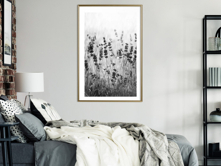 Wall Poster Lavender in the Rain - plant flowers in a meadow in black and white motif 123814 additionalImage 15