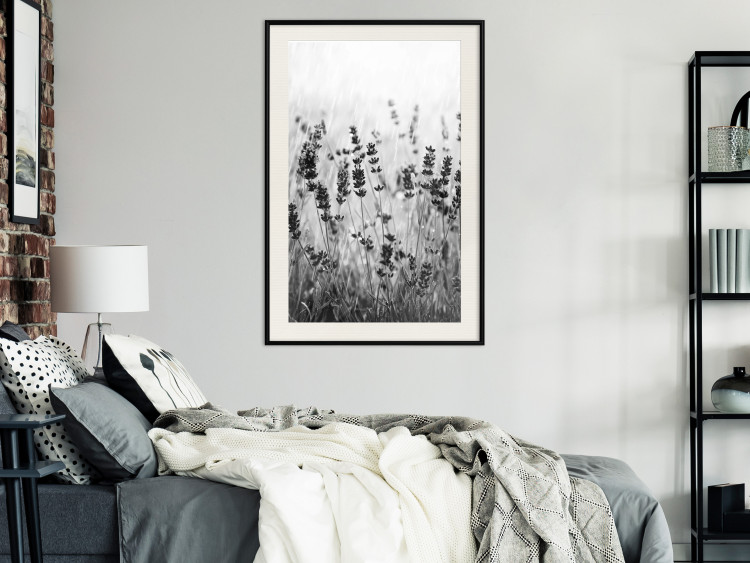 Wall Poster Lavender in the Rain - plant flowers in a meadow in black and white motif 123814 additionalImage 22