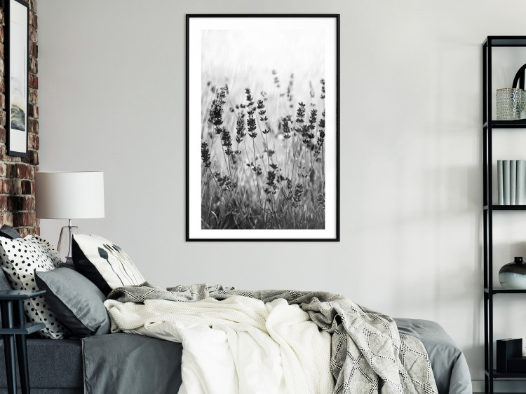 Wall Poster Lavender in the Rain - plant flowers in a meadow in black and white motif 123814 additionalImage 6