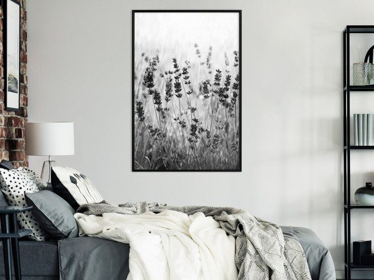 Wall Poster Lavender in the Rain - plant flowers in a meadow in black and white motif 123814 additionalImage 5