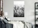 Wall Poster Lavender in the Rain - plant flowers in a meadow in black and white motif 123814 additionalThumb 23