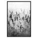 Wall Poster Lavender in the Rain - plant flowers in a meadow in black and white motif 123814 additionalThumb 24
