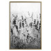 Wall Poster Lavender in the Rain - plant flowers in a meadow in black and white motif 123814 additionalThumb 20