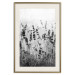 Wall Poster Lavender in the Rain - plant flowers in a meadow in black and white motif 123814 additionalThumb 19