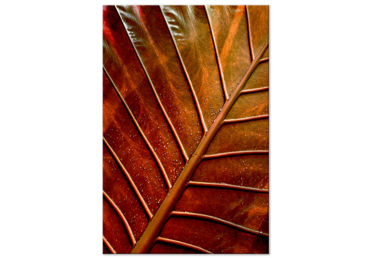 Canvas Art Print Copper leaf - a photograph of an autumn leaf in warm colours 123914