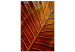 Canvas Art Print Copper leaf - a photograph of an autumn leaf in warm colours 123914