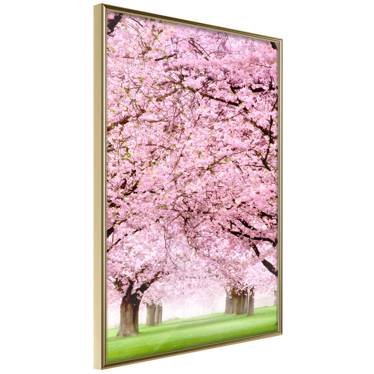 Poster Cherry Orchard - landscape of green grass and trees with pink leaves 126214 additionalImage 14