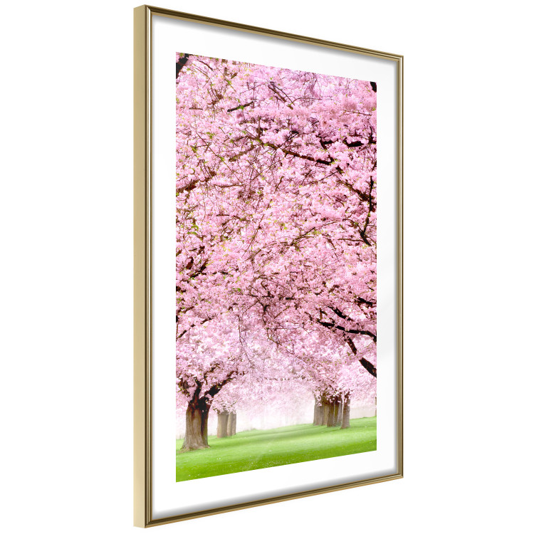 Poster Cherry Orchard - landscape of green grass and trees with pink leaves 126214 additionalImage 8