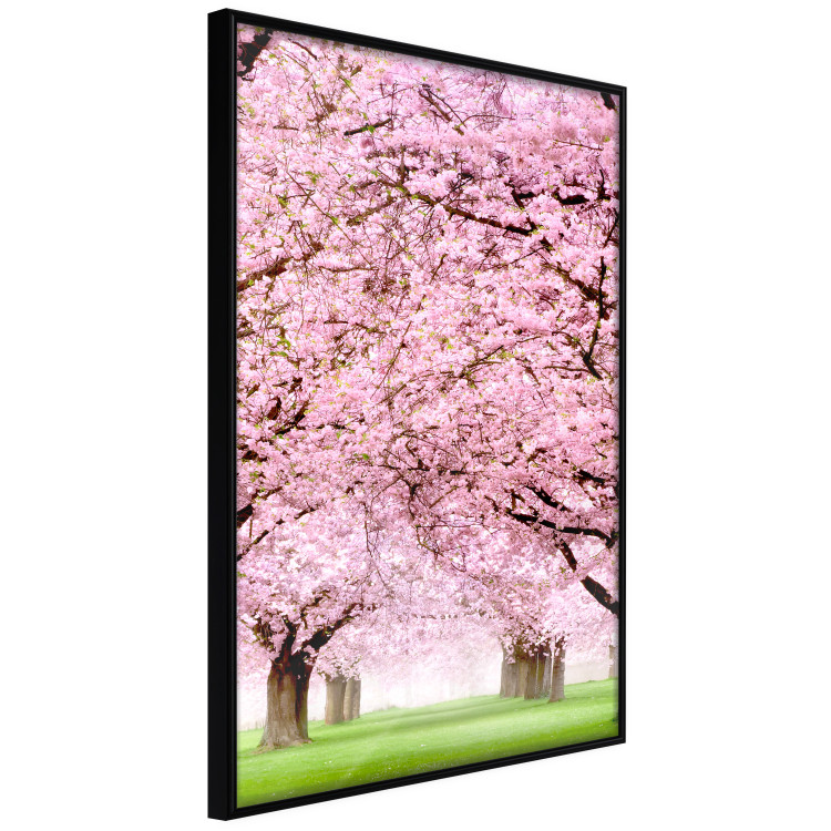 Poster Cherry Orchard - landscape of green grass and trees with pink leaves 126214 additionalImage 10