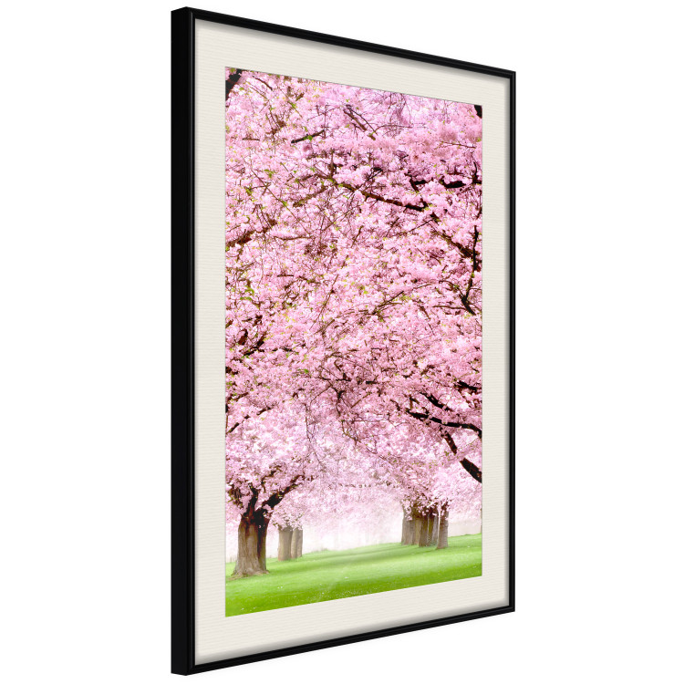 Poster Cherry Orchard - landscape of green grass and trees with pink leaves 126214 additionalImage 3