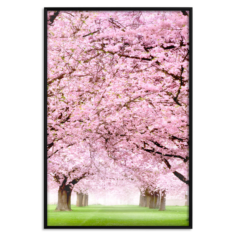 Poster Cherry Orchard - landscape of green grass and trees with pink leaves 126214 additionalImage 25