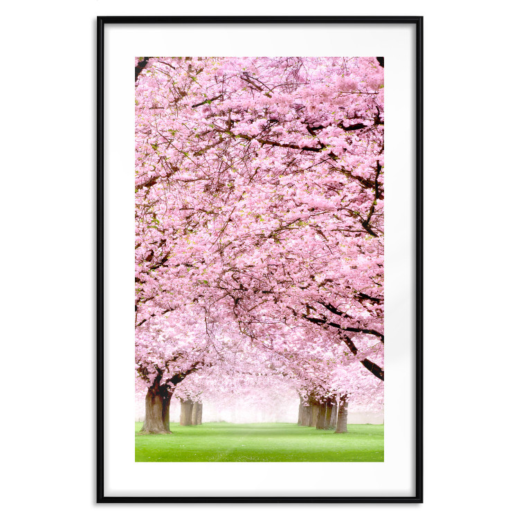 Poster Cherry Orchard - landscape of green grass and trees with pink leaves 126214 additionalImage 15